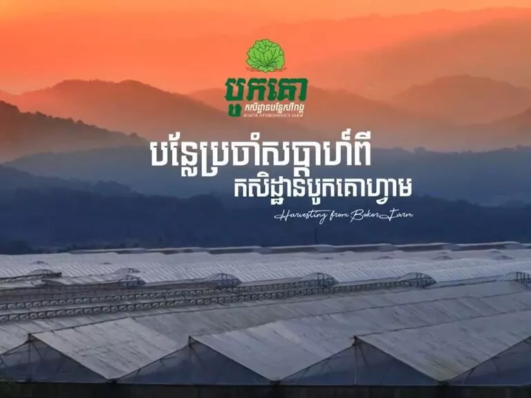 Hydroponic Farm