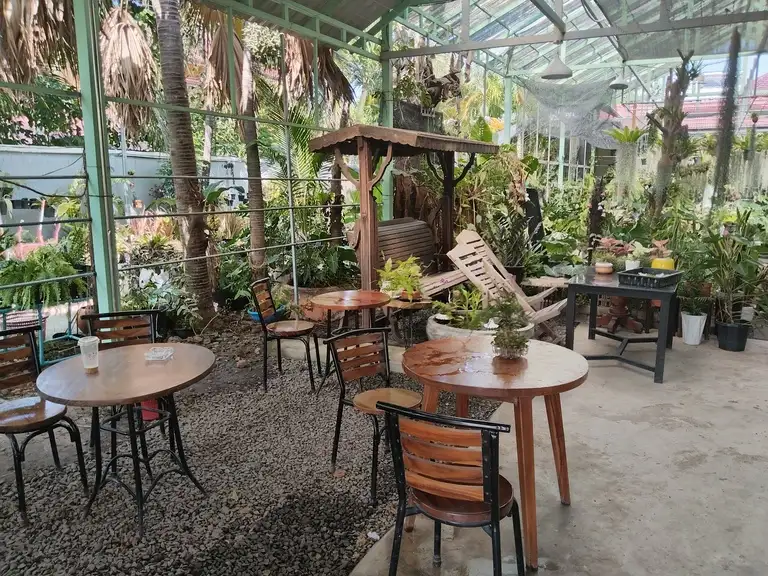 The Cacti and Planti plant shop & Café