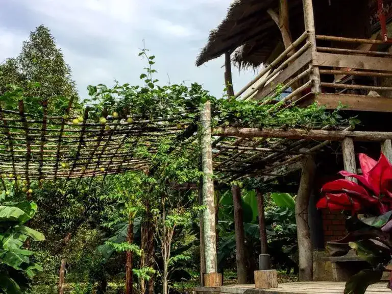 Kampung Ladang Durian