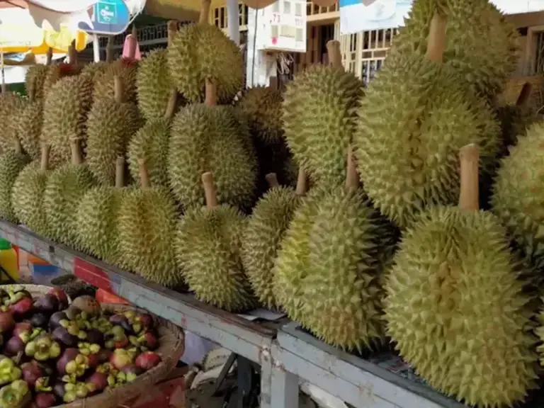 Stacks of local Kampot durian fruit at a market stall