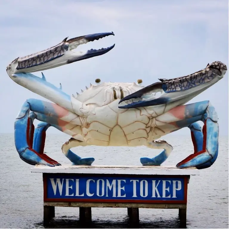 Blue crab of Kep