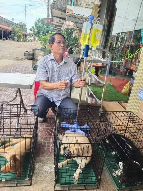 コー・ピッチ動物病院