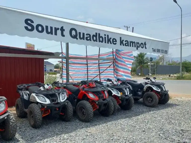 Xe địa hình Sourt